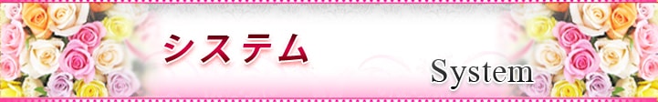 �V�X�e��